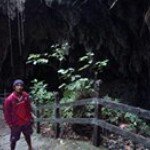 Paul Erdos Marbun - @paulemarbun - Instagram