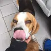 Paul - @paul.erdos - TikTok