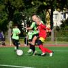 Paul_FCM🇩🇪🦅 - @paulerhardt7 - TikTok