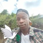 Paul Eugene - @pauleugene49 - Instagram