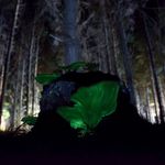 Paul Eustace - @grassy1979 - Instagram