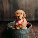Paula Everhart - @paula.everhart.7 - Instagram