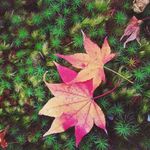 Paul Everitt - @paul.everitt.37 - Instagram