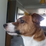 Paul Fairman - @paul.fairman.169 - Instagram