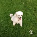 Paul Fairman - @fairman.p - Instagram