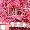 lafavoritesaintpaul - @lafavoritesaintpaul - TikTok