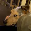 johnpaulfecteau - @johnpaulfecteau - TikTok