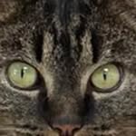 Paul Feltman - @feltmanpaul - Instagram