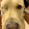 Paul - @kerstenpaul - TikTok