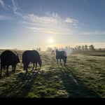 Hugh Paul Finegan - @hughfineganracing - Instagram