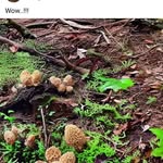 Paul Finegan - @topranking1.pf - Instagram