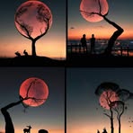 Paul Flinn - Facebook