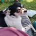Paul Flynn - Facebook
