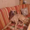 user3171516799881 - @paulflocke0 - TikTok