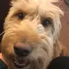 Paul Flora - @paulkflora - TikTok