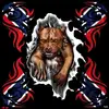Paul Flora - @paul.flora6 - TikTok