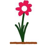 Paul Flower - @bramble.bay.freelance - Instagram