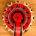 Paul Flower - @intheribbonsrosettes - Instagram