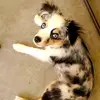 Paul.folk - @paul.folk - TikTok