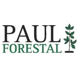 Paul Forestal - @paulforestal - Instagram