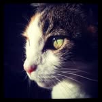 Paul Freely - @paulfreely - Instagram