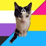 Paul - @paul.free_love - Instagram