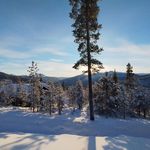@paul.freese14 - Instagram