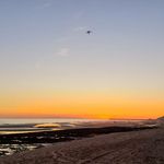 Paul Freese - @paulfreese_ii - Instagram