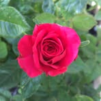 Paula Freshour - Facebook