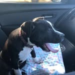 Paul Furphy - @arnoldpaul70 - Instagram