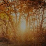 Paul Fyfe - @paul.fyfe.33 - Instagram