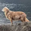Paul Fyfe - @paul.fyfe - TikTok