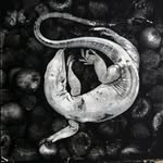 paul gadd - @paul_gadd - Instagram