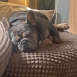 Paul Gadd - @p_gadd - Instagram