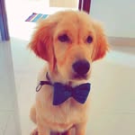 PAUL GADDAM - @paulpgaddam - Instagram