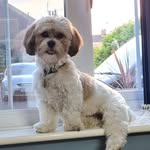Paul Galley - @paul.g71 - Instagram