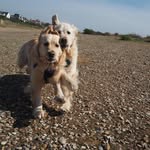Paul Galley - @theshipskitchen - Instagram