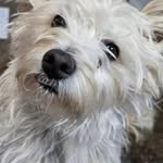 Paul Gallienne - @paul.gallienne - Instagram