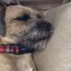 Paul Gallienne - @paul.gallienne - TikTok