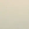 paulgalvez90 - @poli_37375 - TikTok