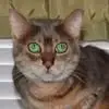 johnpaulgambrell - @john.paul.gambrel - TikTok