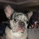 Paul Gamez - @g_dawg_502 - Instagram