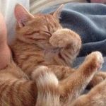Paul 007 - @paul_gebert - Instagram