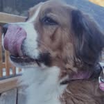 Paul_Geist - @paul_geist8 - Instagram