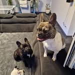 Paul Geist - @gwm101259 - Instagram