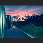 Paul Gilham - @gilham_paul - Instagram