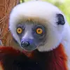 paulgimmel652 - @i.like.trains.org - TikTok