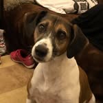 Paul Ginn - @ginn.paul - Instagram