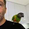PAUL GLENN - @paulglenn1967 - TikTok