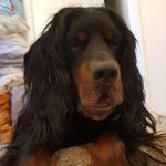 Paul Glennon - @paul.glennon.71 - Instagram